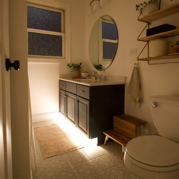 Low Voltage LED Cabinet and Mood lighting
