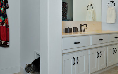 So You Want to Get a Cat