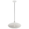 Livex Lighting Dublin 1 Light White With Brushed Nickel Accents Pendant