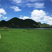 Marco Zhang's photo