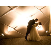 Esther H. Levy's photo