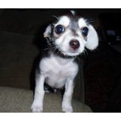 Jan Jenkins's photo