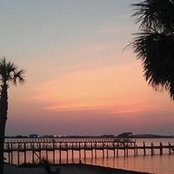 Debbie Reid's photo