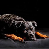 June Pennell's photo