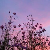 Anna Johnson's photo