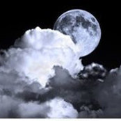 Sally Irick's photo