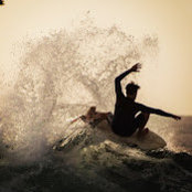 Marc Everdsさんの写真