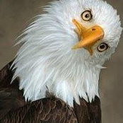 Mark Stoneberger's photo