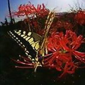 Tracy Martin's photo