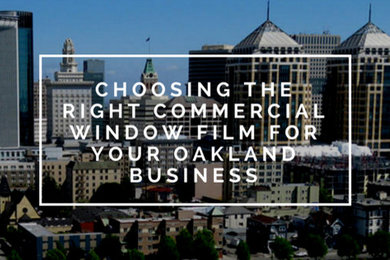 Commercial Window Film