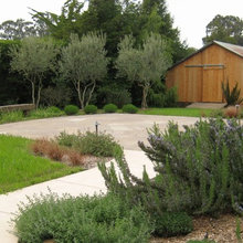 Sheds