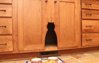 Cat Doors: How to Best Serve Your Feline Friend (and Stay Sane)