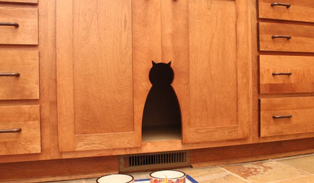 Cat Doors: How to Best Serve Your Feline Friend (and Stay Sane)