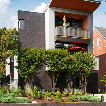 Lakeview Infill