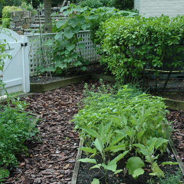 Vegetable Garden in early Summer
