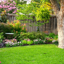 Landscape Ideas Holly