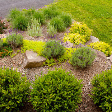 Deer Resistant Gardens