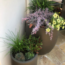 Pots And Containers