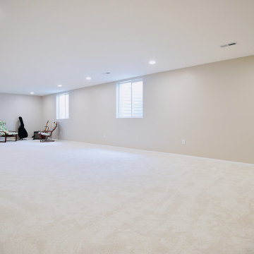 Basement Great Room