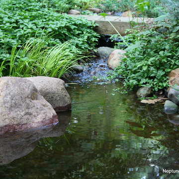 Koi Ponds and Water Gardens