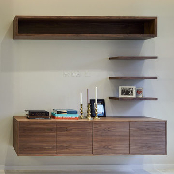 Contemporary walnut wall mounted AV unit