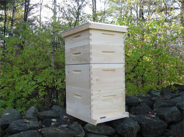 Outdoor Products New Hampshire Honey Bee Hive Kit