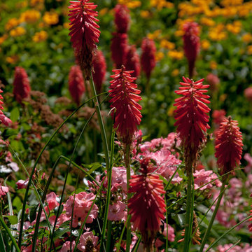 Seaside Garden in Westbrook,CT