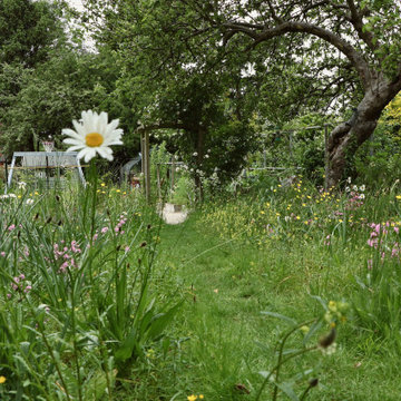 Wildlife Haven, Beckenham