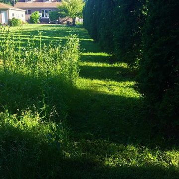 Native Meadow