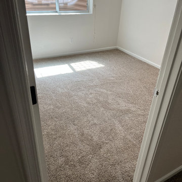 Whole Home Carpet Install: Dream Weaver Deep Thistle