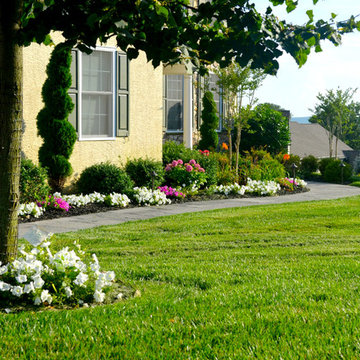 Front Yards