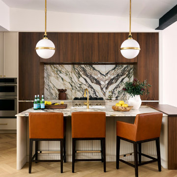 Fairmount, Philadelphia: Transitional Whole House Remodel