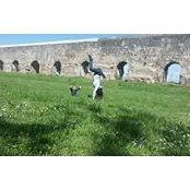 Anna Maria Merti's photo