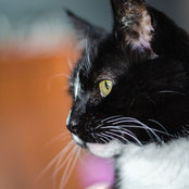 Caitlin W.'s photo