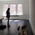 Maxine Shriber Interior Design New York's profile photo