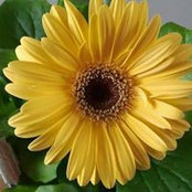 Pauline Arneson Larson's photo