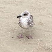 Florence Bottin's photo