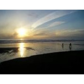 Joy Sinclair's photo