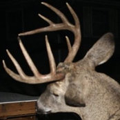 Jake Romano's photo