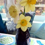 Brandi Morris's photo