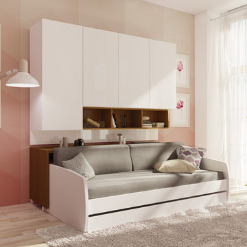 Compact Twin XL Sofa bed and Cabinets Wall System
