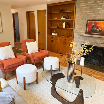 Mid-Century Modern Vibrant Home