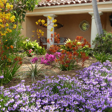 Lawn conversion in Fairbanks Ranch