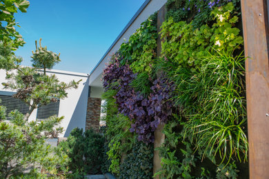 Garten in Sonstige