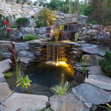 POND