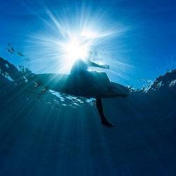 Sitting Beneath a Star-Burst - Photographs