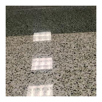 Terrazzo Floor Recondition