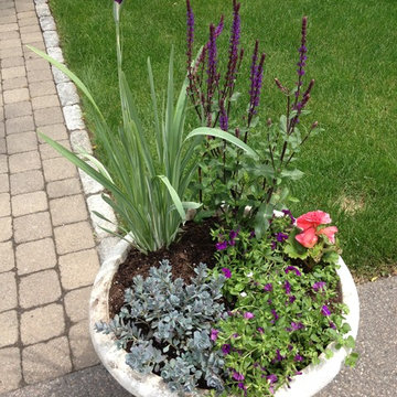 Seasonal Container Plantings & Changeovers