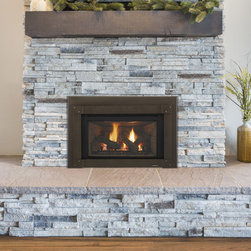 Quadra-Fire Excursion Series Gas Fireplace Inserts - Indoor Fireplaces
