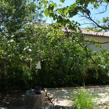 Un jardin à Anduze